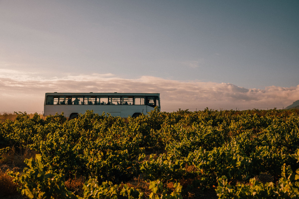 Single Vineyards