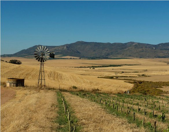 swartland