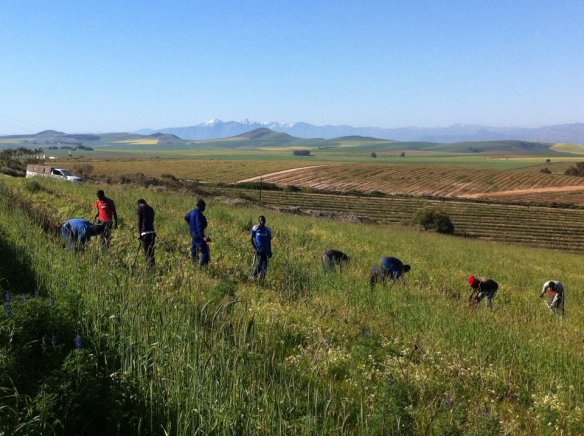 1377058_633706196664006_1134330463_n