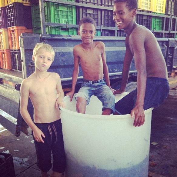 Samuel's tank, 2014 Vintage.