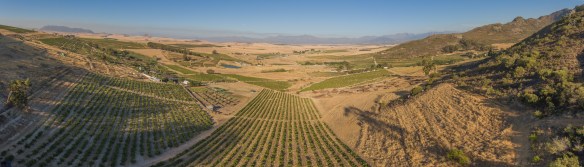 badenhorst-panorama-1-of-1