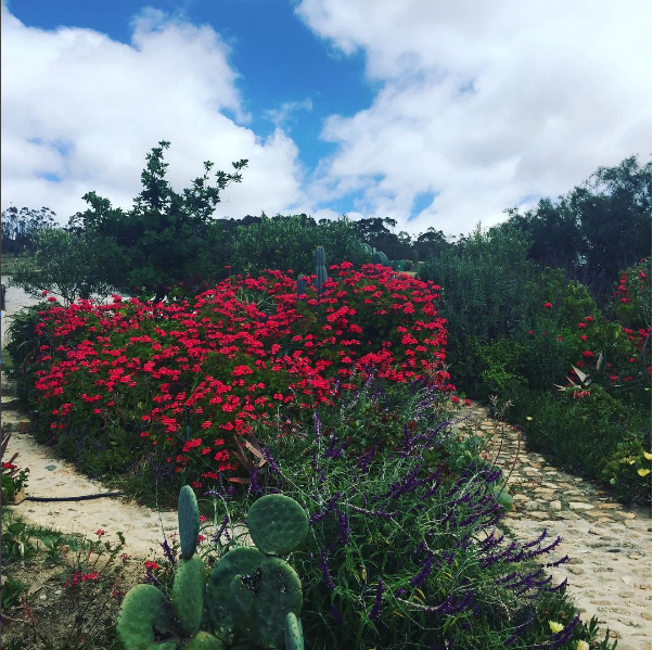 Screen Shot 2017-10-20 at 13.22.14