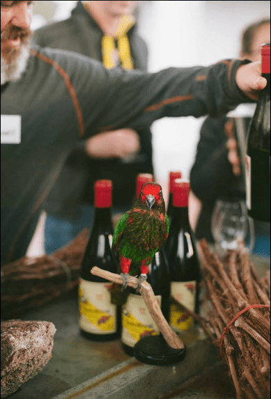 Screen Shot 2017-11-17 at 10.30.59