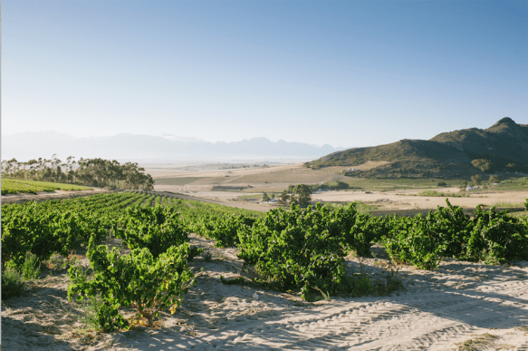 Screen Shot 2018-03-18 at 05.18.53