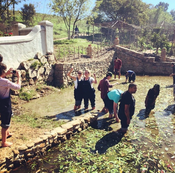 Screen Shot 2018-08-15 at 10.30.59